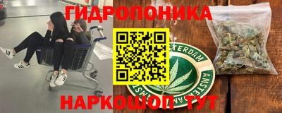 индика Азнакаево
