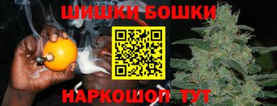 индика Азнакаево