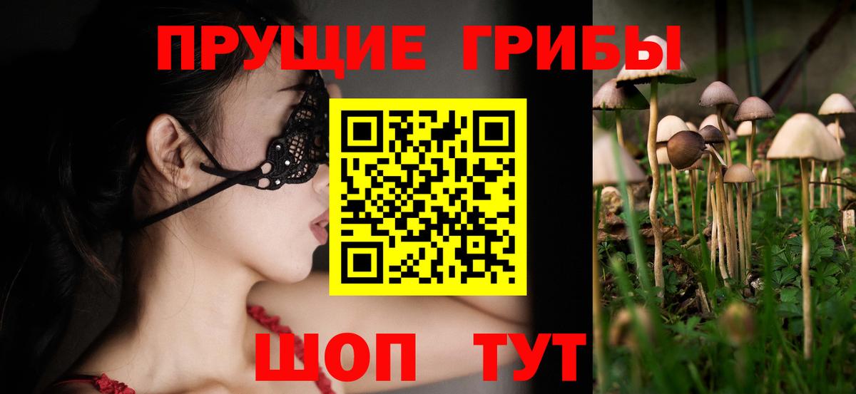 Галлюциногенные грибы Psilocybine cubensis  Вход с VPN  Прохладный 