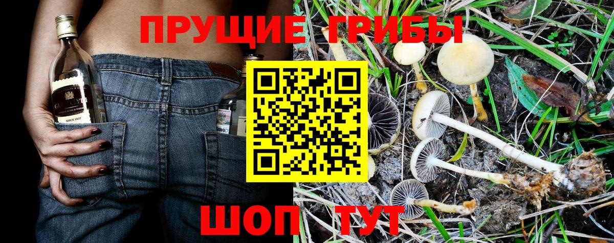 Галлюциногенные грибы MAGIC MUSHROOMS  закладки  Прохладный  Вход с VPN 