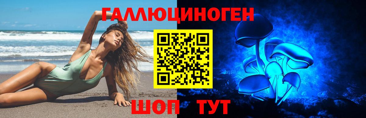 Псилоцибиновые грибы Cubensis Прохладный